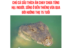 YÊN NGHỈ NHÉ CHÚ CÁ SẤU HIỀN LÀNH